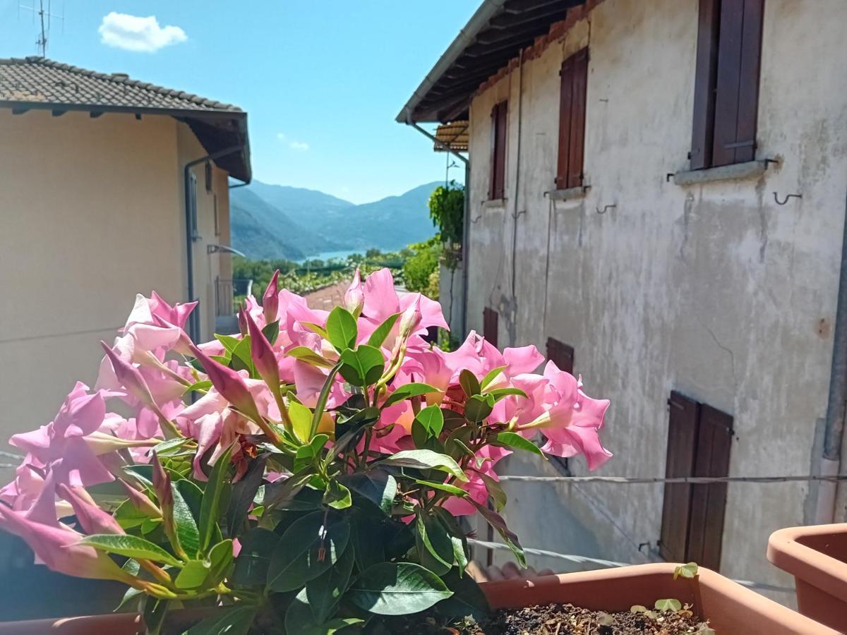 Casa Di Ariel Βίλα Carlazzo Εξωτερικό φωτογραφία